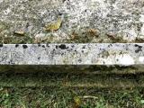 image of grave number 970232